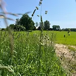 Ilmjaerve Glamping