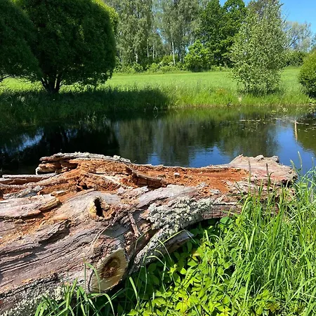 Ilmjaerve Glamping Otepaeae * Ilmjarve
