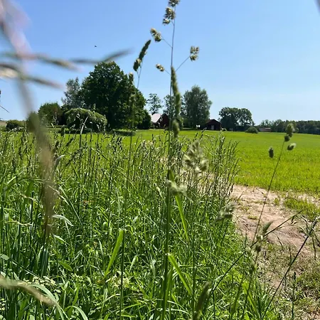 Ilmjaerve Glamping