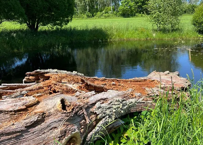 Ilmjaerve Glamping * Myza Ilʼmyarve